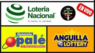 Lotería Nacional Noche Quiniela Pale anguilla 9 En Vivo de hoy martes 19 de noviembre del 2024