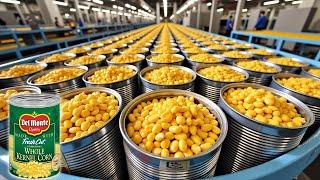 How is Canned Sweet Corn Produced in a Factory?