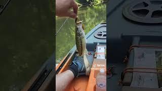 cage rage Outdoors largemouth bass fishing