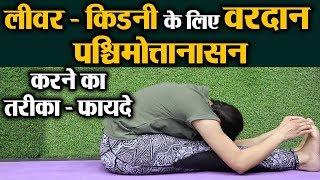 Yoga for healthy Liver & Kidney - Paschimottanasana | लीवर और किडनी के लिए वरदान  | Jeevan Kosh