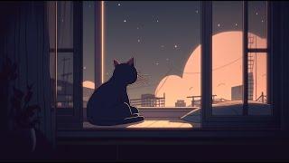 Rainy Season • Relax with my cat - Sleep, Relax, Study, Chill