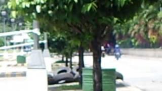 karl vincent magnaye pocketbike