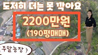 진짜 더는 못깍아요딱2200만원에 주말농장땅 사세요~ #청주부동산 #괴산땅 #괴산토지 #소액토지 #김설아소장