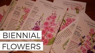 Planning a Cut Flower Garden: Biennial Flowers from Seed