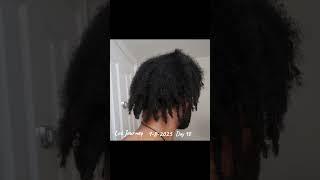 Day 98 Loc Journey Update #locs #buddhalocs #locjourney