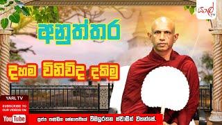 අනුත්තර | ඉල් පෝයදා ධර්ම දේශණය | දහම විනිවිද දකිමු | පූජ්‍ය විමලරතන ස්වාමින් වහන්සේ | Episode 07