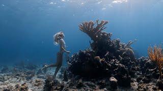 Jewels of Andros | Freediving the Blue Holes of Andros, Bahamas