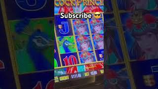 Lock it Link Peacock Princess how to turn $150 into $100 subscribe for more tips!