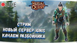  Royal Quest | СТРИМ НОВЫЙ СЕРВЕР №1 | КАЧАЕМ РАЗБОЙНИКА  Морфей