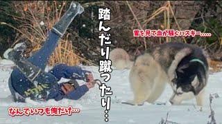 【大惨事】ハスキーを雪山に連れて行った結果、思いもよらない結末すぎました…