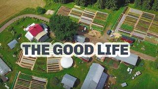 MAKE A CITY WAGE FROM A SMALL FARM S5 ● E42