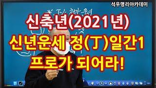 신축년(2021년) 신년운세- 정화(丁火)일간1, 프로가 되어라! (석우명리아카데미)