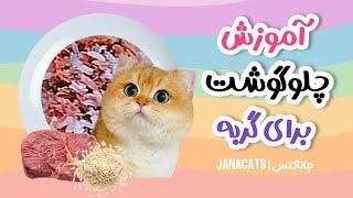 یه غذای خونگیه دلچسب برای پیشیا | آموزش پختن غذای خونگی برای گربه | @janacatss