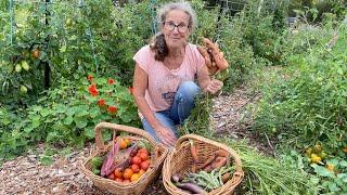 I Forgot To Thin These Carrots and an Abundant Harvest from Permaculture Vegetable Garden