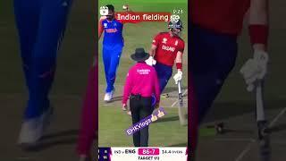 Indian team fielding in World Cup 2024 shorts//Cricket shorts