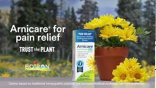 Arnicare and Mushrooms - Arnica for Sore Muscles & Bruising