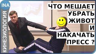 Что мешает убрать живот и накачать пресс? Устраняем причину. Кинезиология