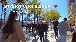 [4K] Sydney Walk ⎮ Sydney Opera House Walking Tour during Autumn ⎮#Sydney Lifestyle