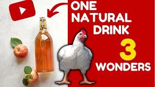 This Natural Drink Solves These Broiler Chicken Problems in 5 Minutes