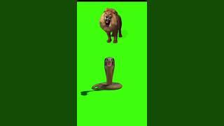 lion  and snake  green screen#green #cartoon #viralvideo #shortsvideo #shorts