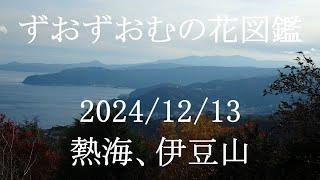 熱海、伊豆山