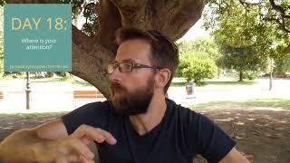 Day 18: PhD Writing Tip: Where is Your Attention?
