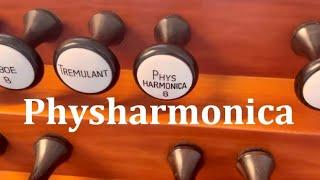 Physharmonica solo (Zunge), Klais Orgel Neckarsulm - Orgel Date AHS, St. Dionysius. Orgelvermittlung