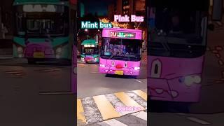 Seoul Cute Buses  #bus #バス