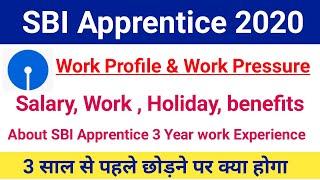 SBI Apprentice Work Profile 2020|SBI Apprentice Types Of Work, Salary, Benefits,Cutoff|#sbi2020