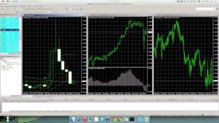 FOREX.com Testbericht - forexbroker.de