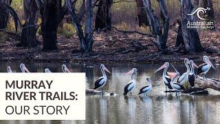 Murray River Trails: Our Story | Australian Wildlife Journeys