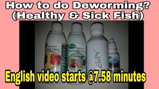 Deworming fishes with Fish doctor medicines