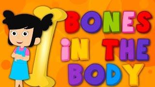 Bones In Your Body | Nursery Rhymes | Kids Songs | Children Rhymes | Baby Songs