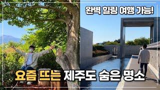 사람이 많은 이유가 있었네요! 외관부터 정원, 전시까지 너무 좋았던 제주 여행지 추천ㅣ본태박물관ㅣ숨도