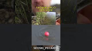 3 GREŠKE KOD PECANJA ŠTUKE NA PLOVAK #pecanje #stuka #dunav  #fishing  #viralvideo #viralshorts