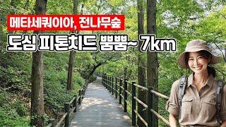 ‍여름에 걷기 좋은 길! 우리나라 최초 순환형 무장애 자락길 | 메타세쿼이아 7km  | 대중교통 당일치기 여행ㅣ트레킹 코스ㅣ도심산책 | 지하철 여행ㅣ서울산책 |