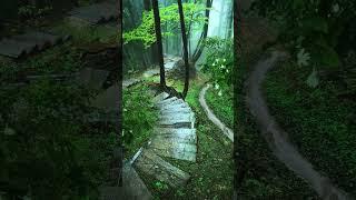 #trending #trend#shorts #bd #official #viral