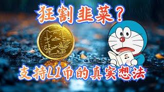 自我辟谣：搞$LI币是为了诈骗？为什么我会支持$LI李币和李老师？我对$LI李币的愿景是什么？