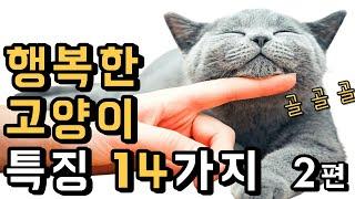 행복한 고양이 특징 14가지 [2편]