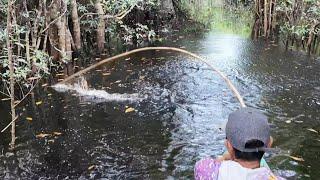 MANCING IKAN TOMAN DAN MENGANGKAT JEBAKAN UDANG GALAH