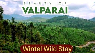 Chalakudy to Valaparai Road Trip | Wintel Wild Resort | Valparai Tourist Places