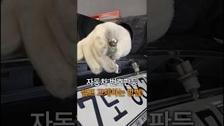 자동차번호등 셀프교체!#자동차 #번호판등#정비제이