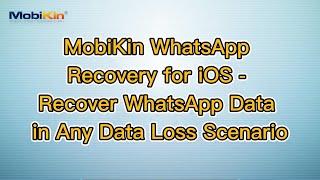 MobiKin WhatsApp Recovery for iOS - Recover WhatsApp Data in Any Data Loss Scenario