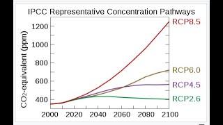 What is RCP 4.5?