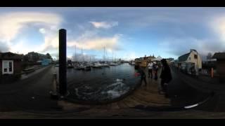 This is me feeding wild seals , wild animal adventures 360 vr video