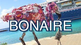 Bonaire Island. Trip Report with Travel Tips. Part I