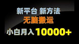 【十大良心挣钱游戏排行榜】新平台新方法，无脑搬运，月赚10000+，小白轻松上手不动脑1 项目介绍