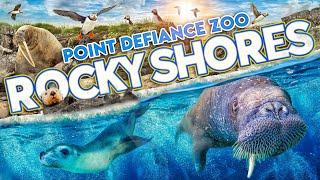 Zoo Tours: Rocky Shores | Point Defiance Zoo