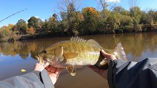 River Fishing Smallmouth Bass In Michigan