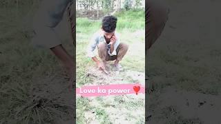 power of love comedy video|Comedy#Shorts#viral#